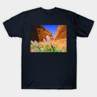 The Olgas Gorge. Uluru-Kata Tjuta National Park. Australia T-Shirt